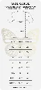 uncommon-resources-prophet-jerome-fernando-glorious-church-size-chart-for-tshirts-3 pjfm.webp